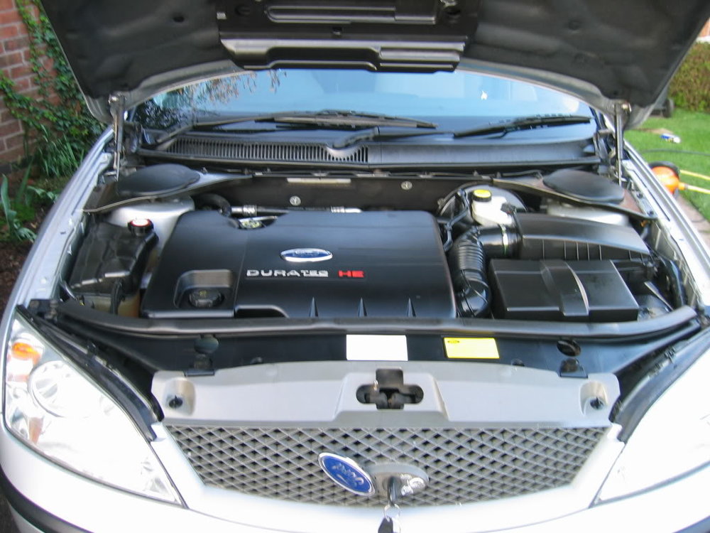 Camdump0409314.jpg