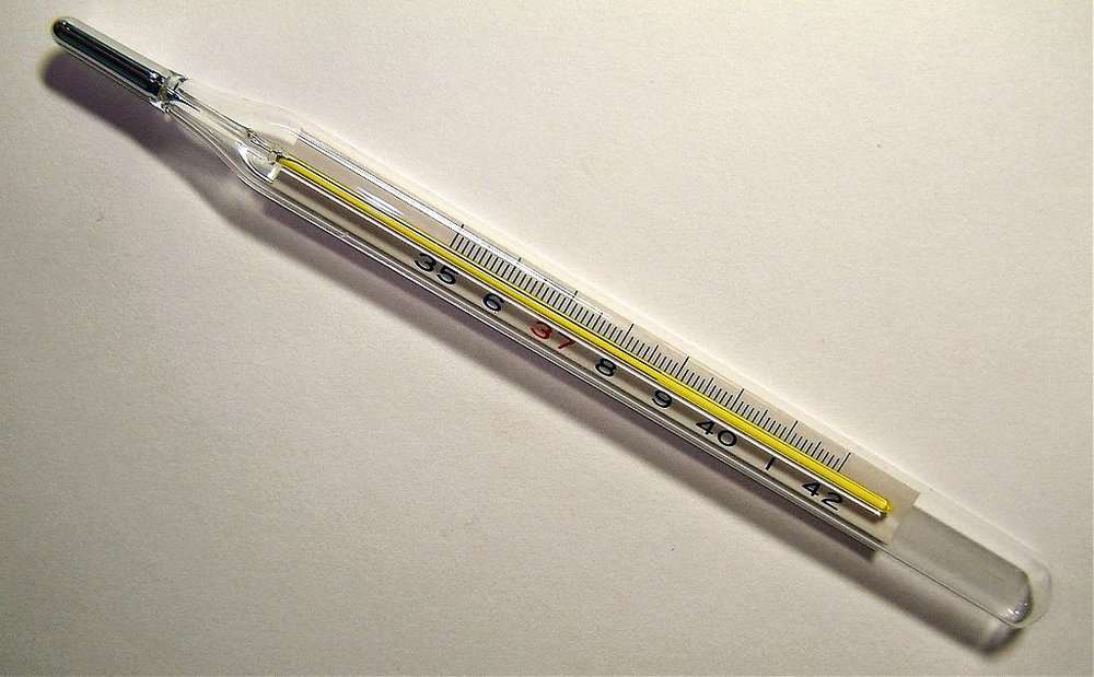 Clinical_thermometer_38_7.jpg