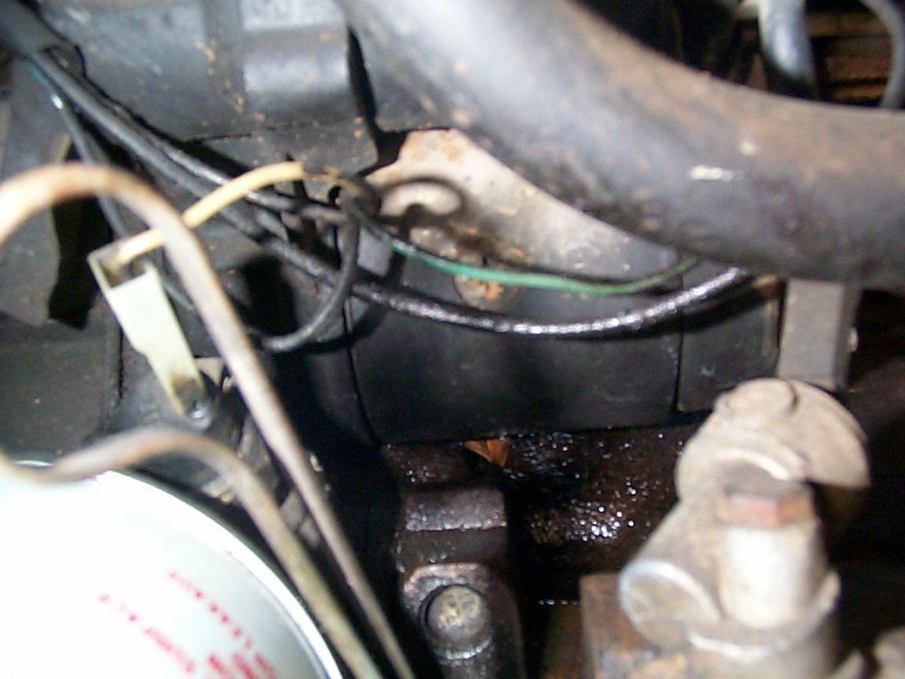 DCP10865.JPG