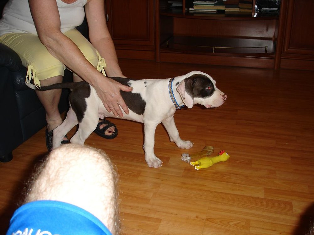 DSC00007.jpg