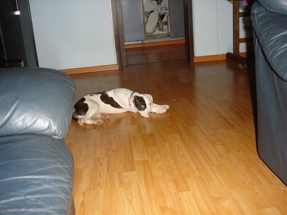 DSC00008.jpg