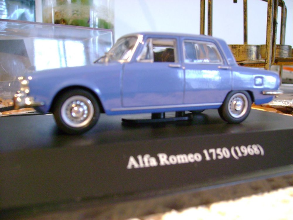 DSC00031.jpg