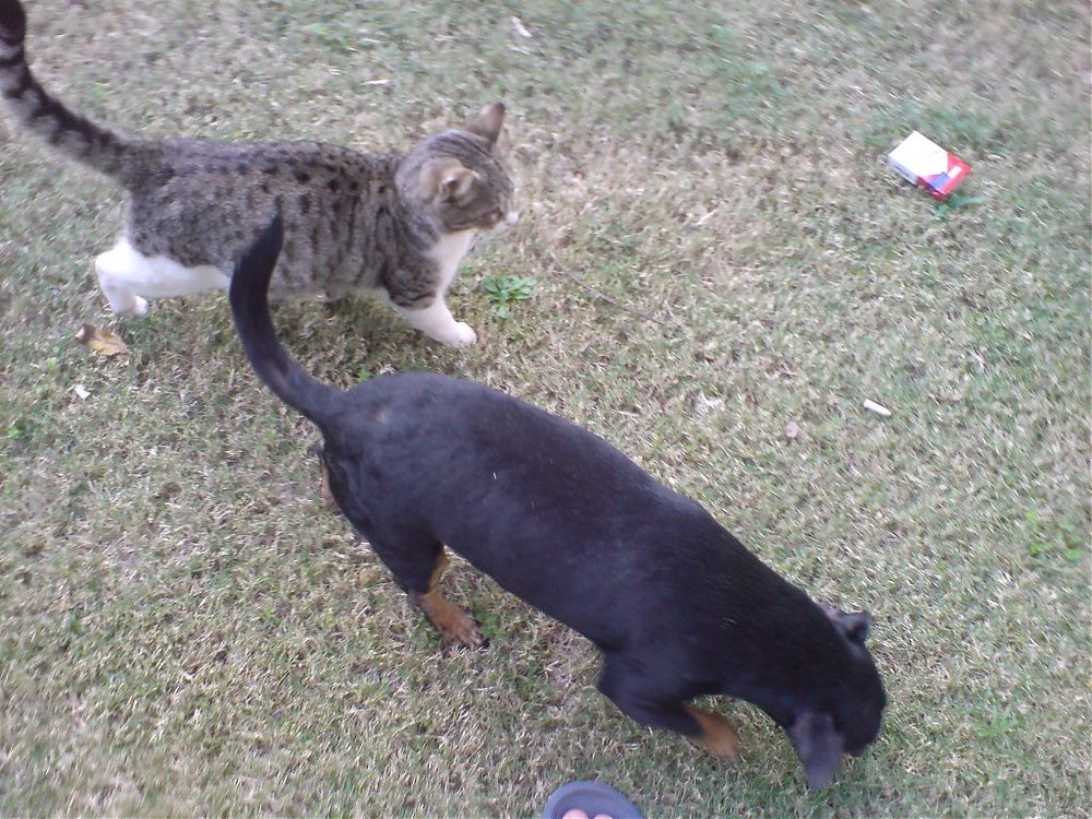 DSC00035.jpg