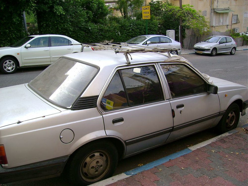 DSC00310.jpg