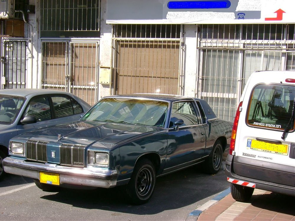 DSC00318.jpg