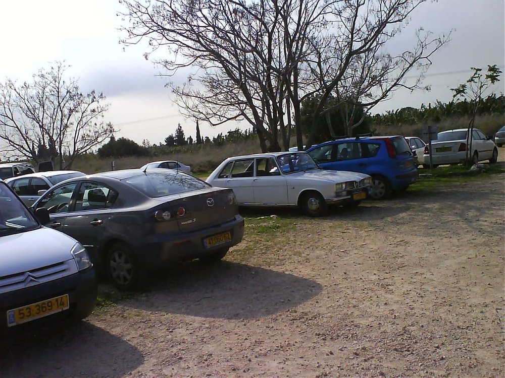 DSC00340.jpg