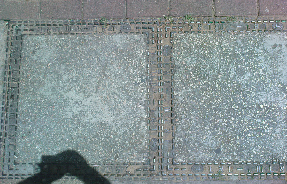 DSC00345.jpg
