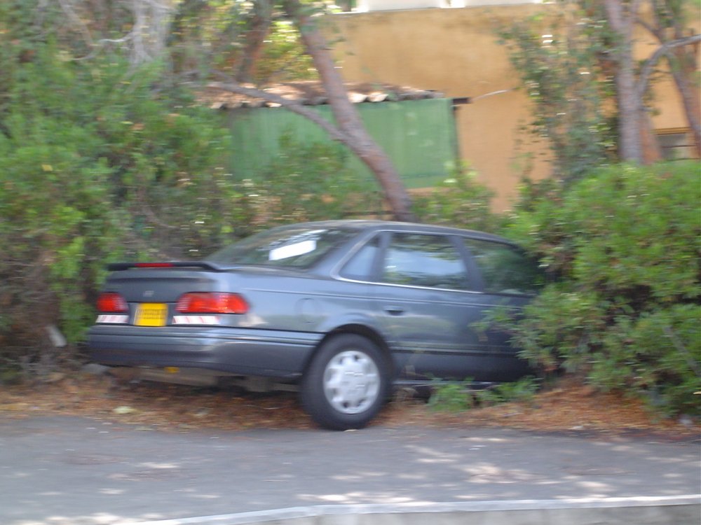 DSC00493.JPG
