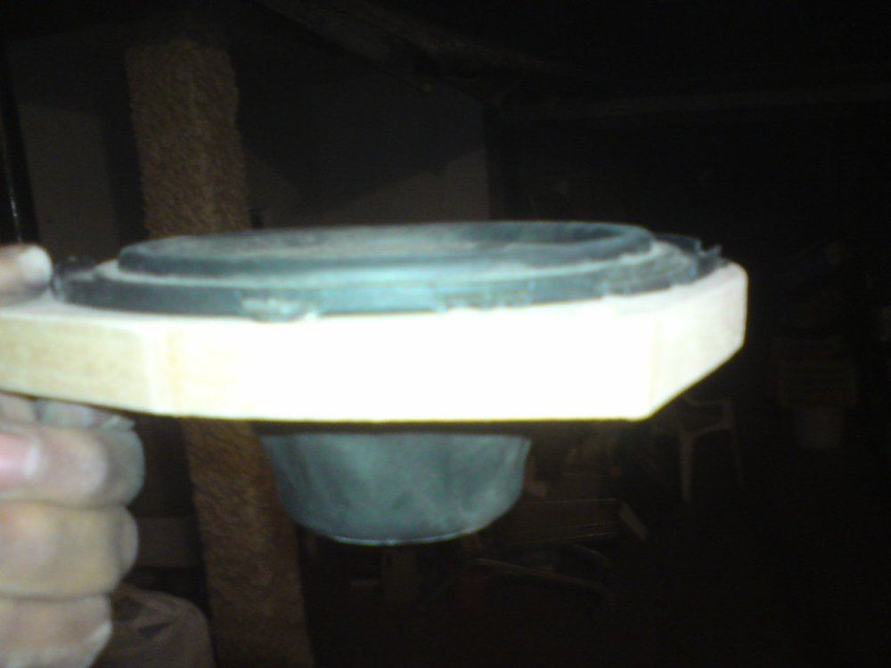 DSC00542.JPG