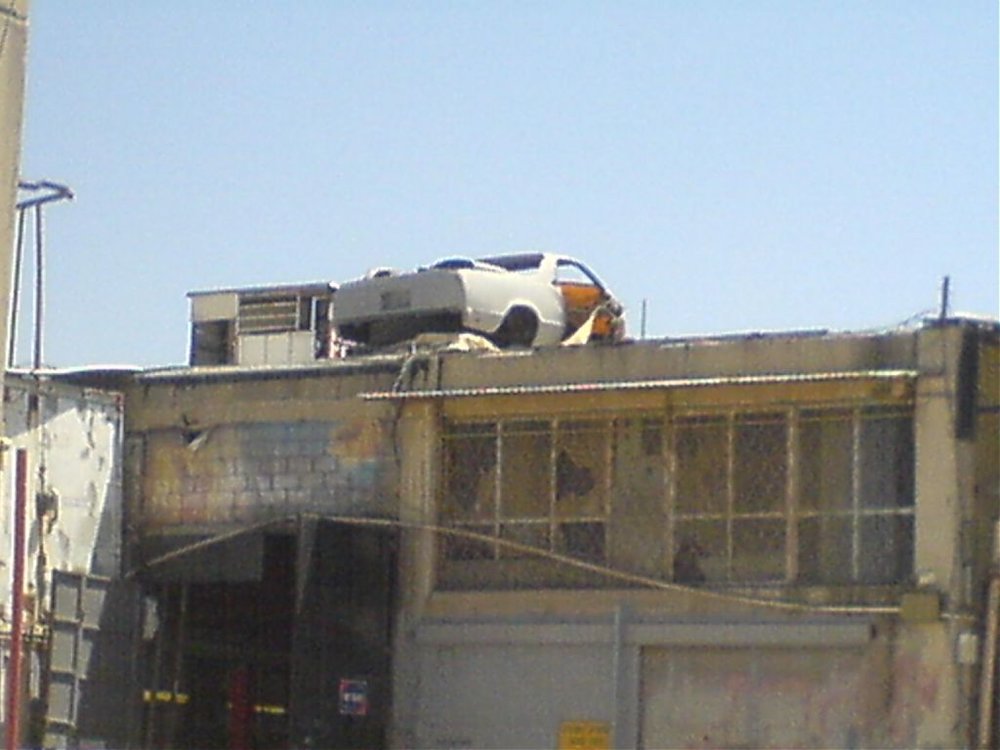DSC00600.jpg