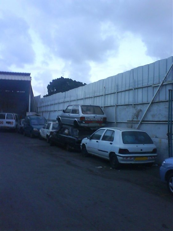 DSC00800.jpg