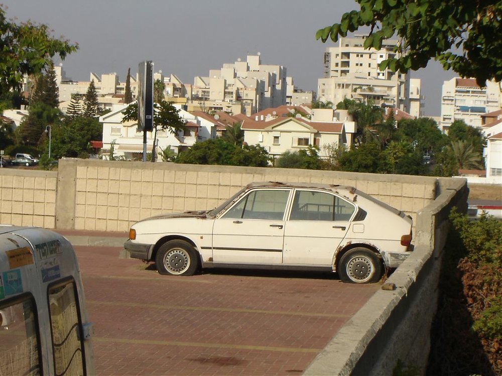 DSC01009.jpg
