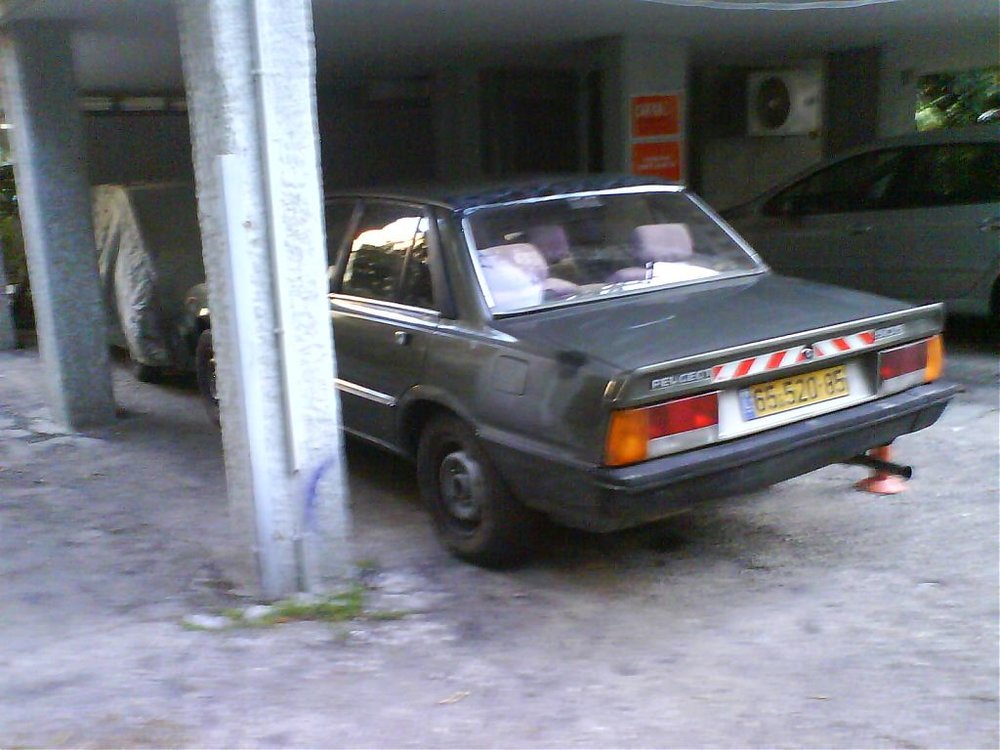 DSC01106.jpg