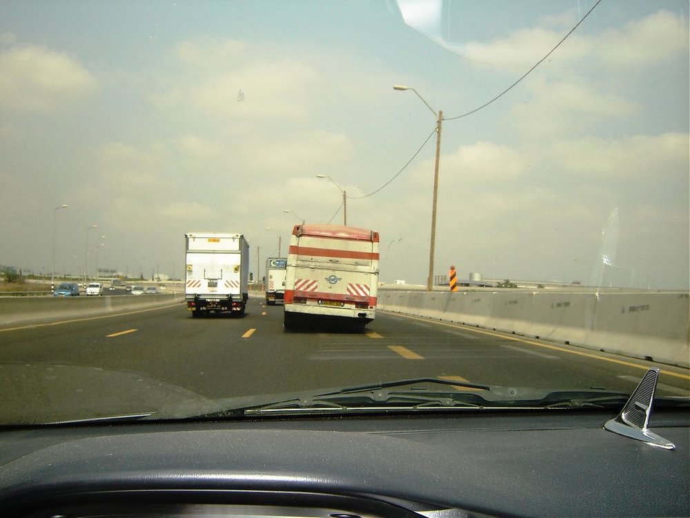DSC01233.jpg