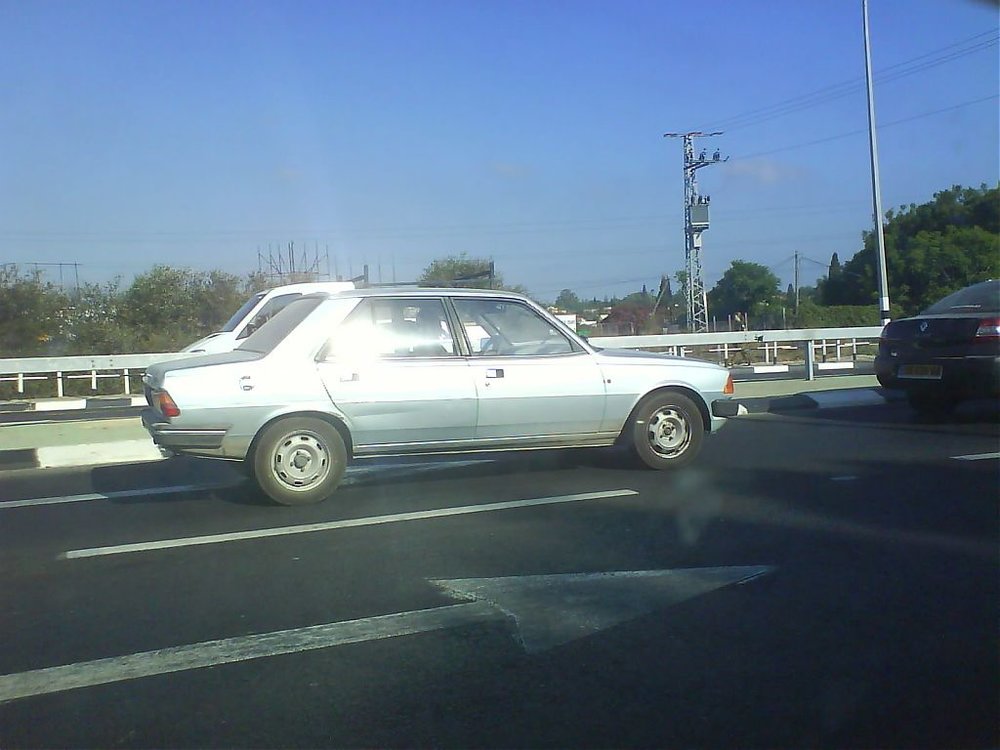 DSC01350.jpg