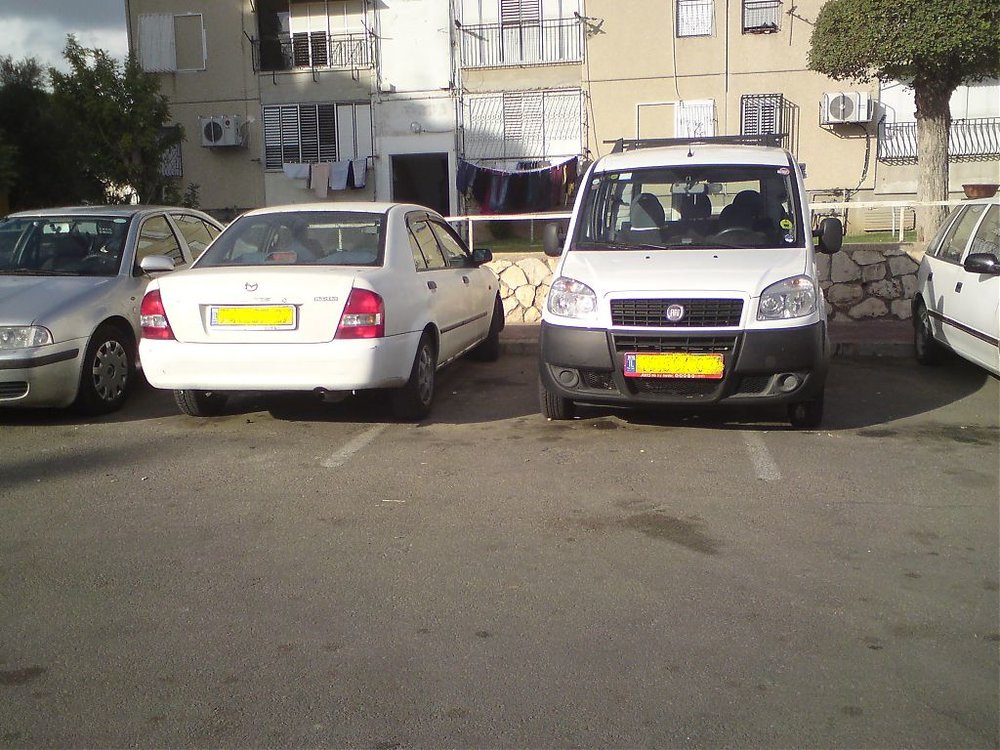 DSC01511.jpg