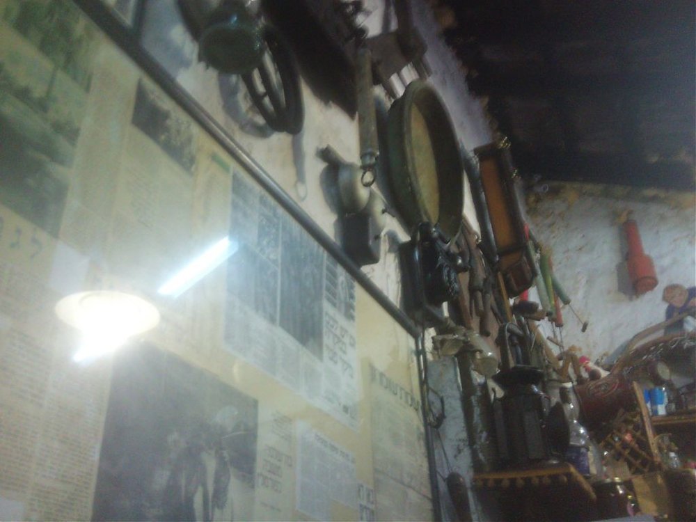 DSC01798.jpg