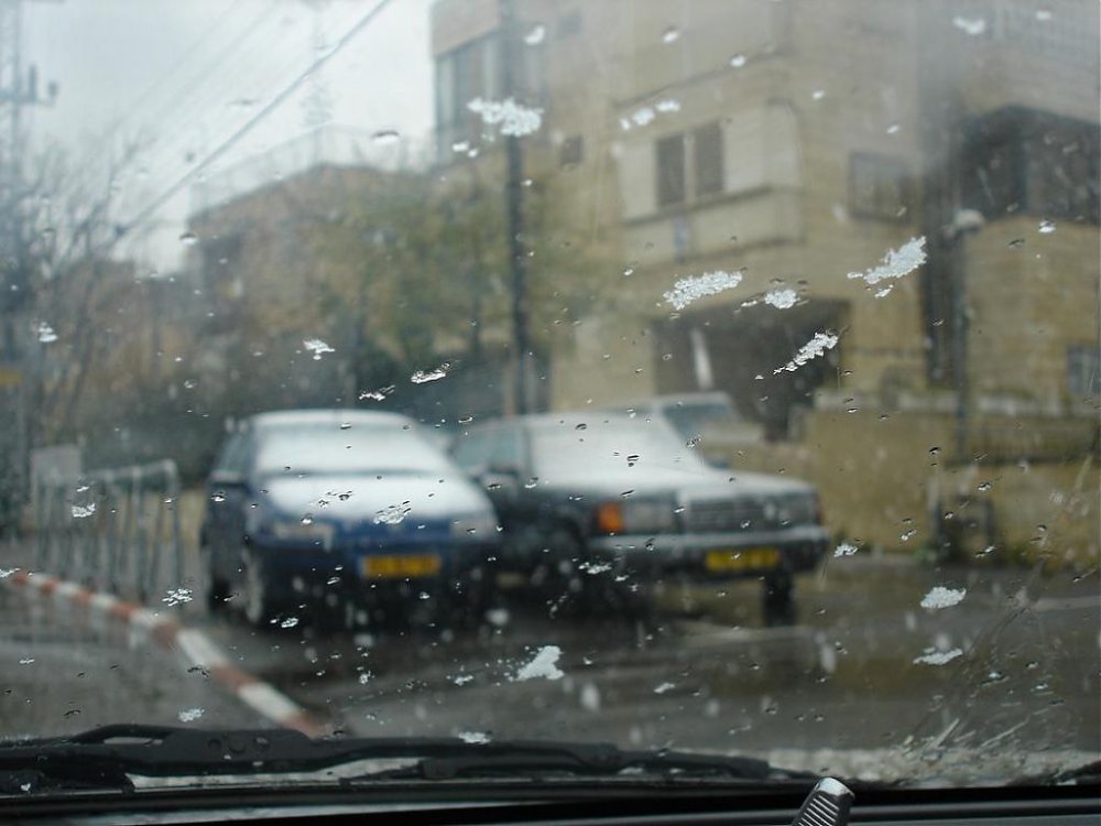 DSC01997fff.jpg