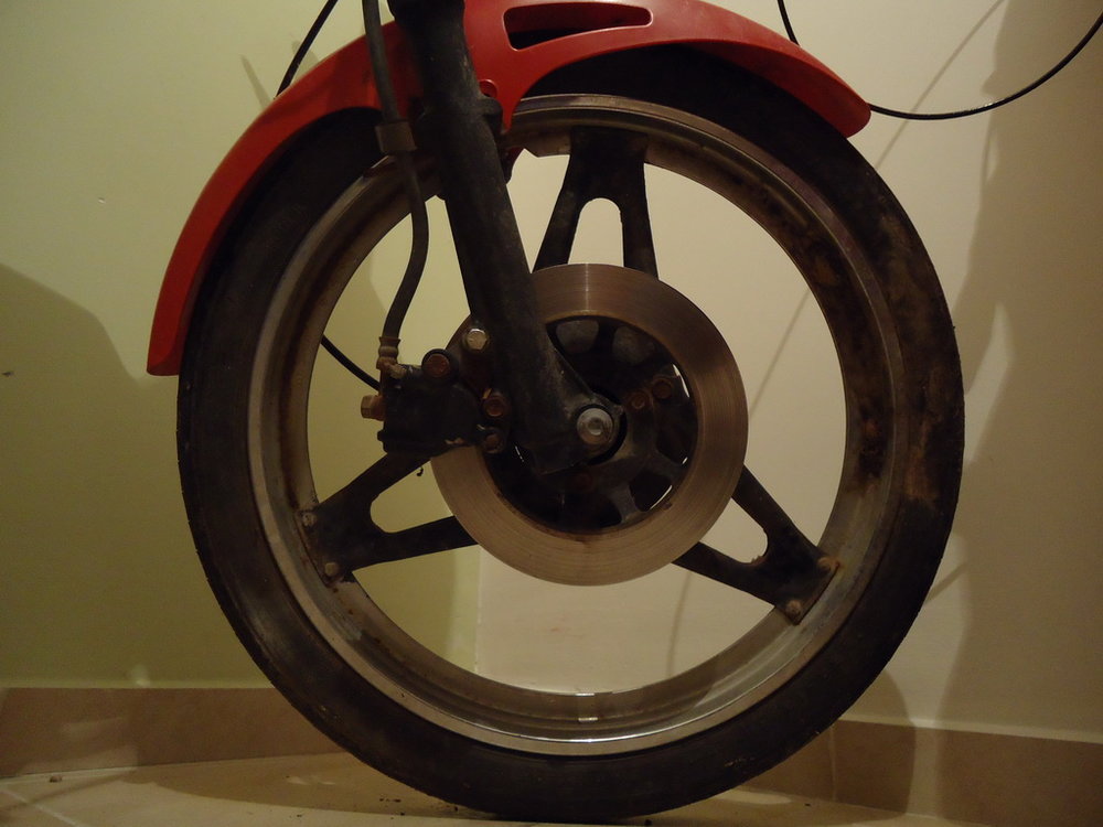 DSC02556.JPG