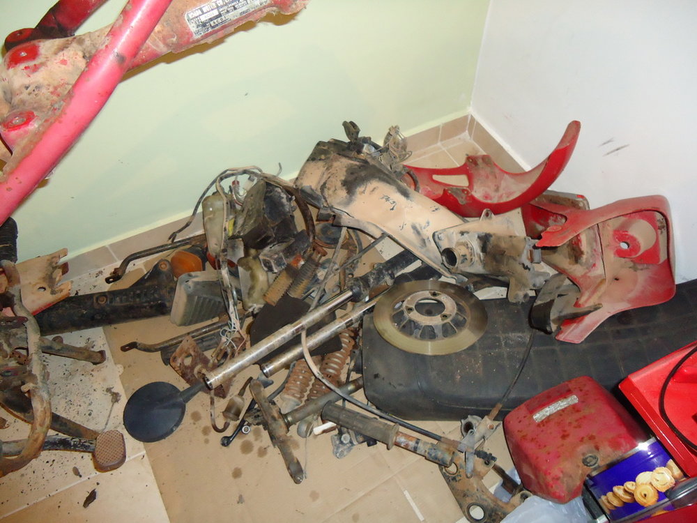 DSC02585.JPG