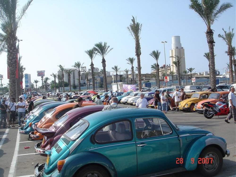 DSC02992.jpg
