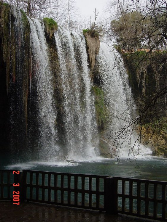 DSC03882.jpg