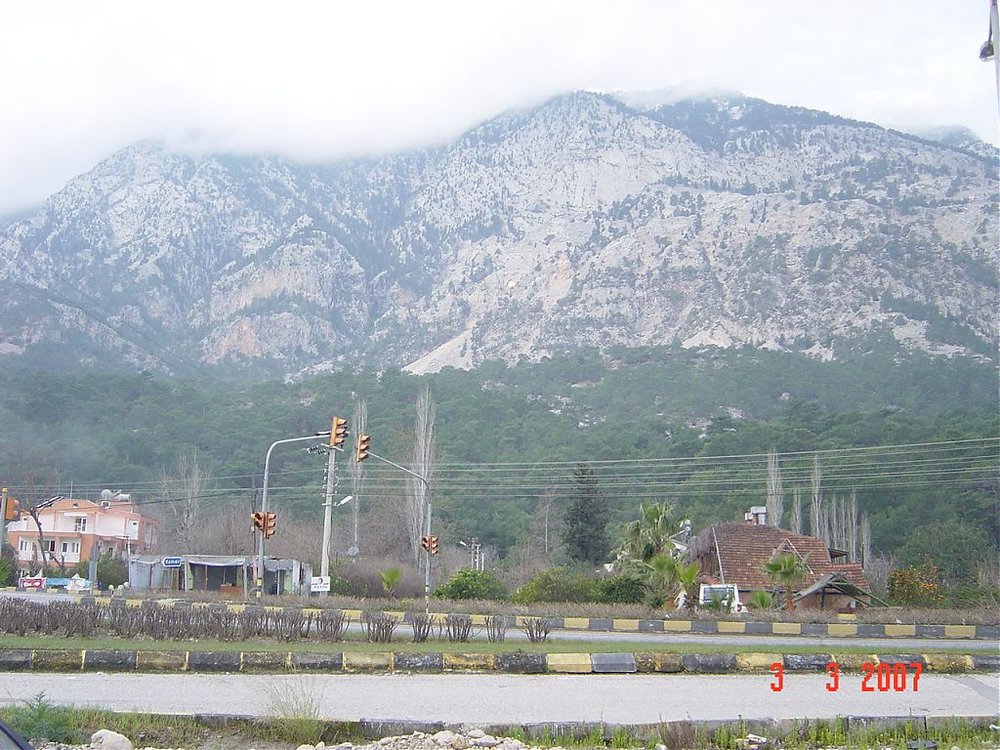 DSC03905.jpg