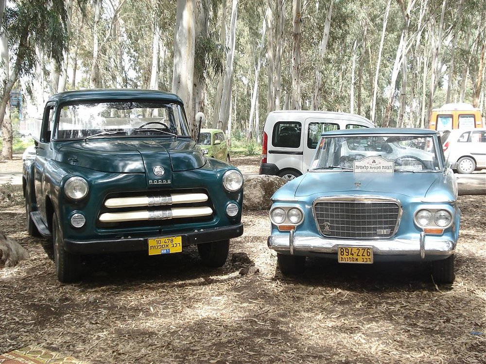 DSC08416.jpg