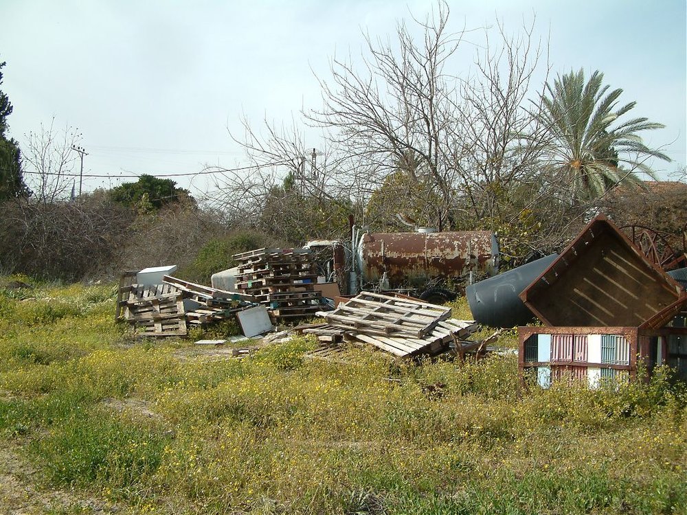 DSCF0117.jpg