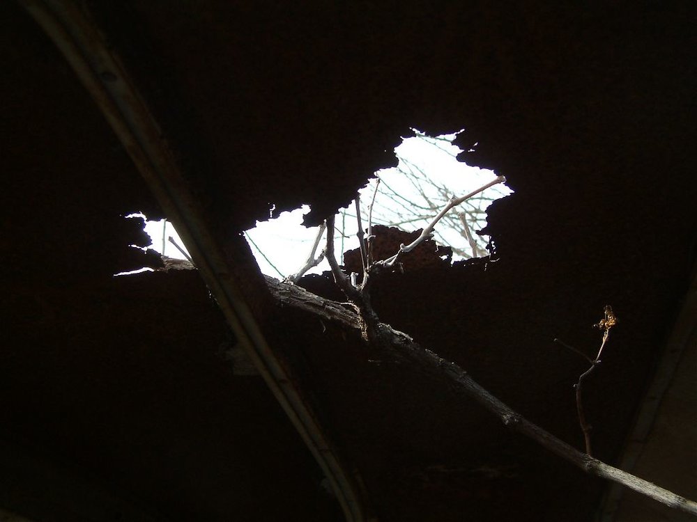 DSCF0124.jpg