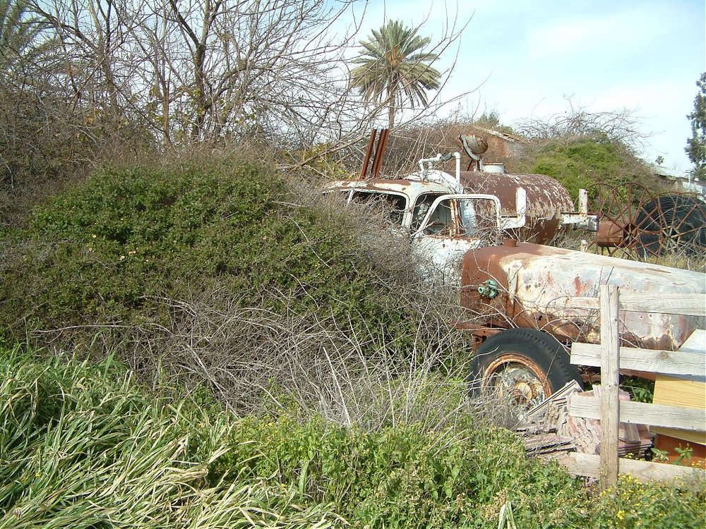 DSCF0126.jpg