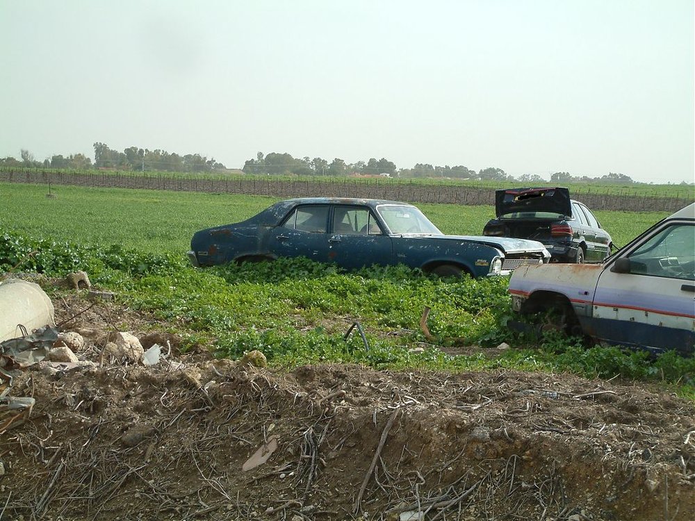 DSCF0139.jpg