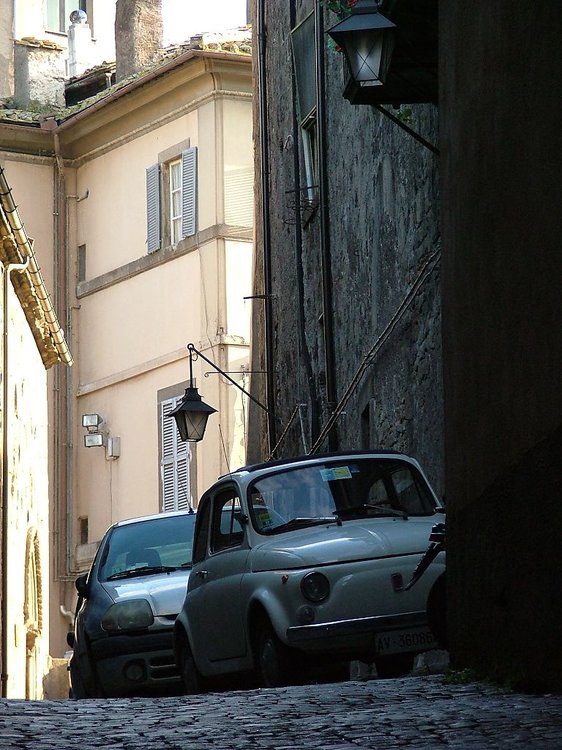 DSCF0141.jpg