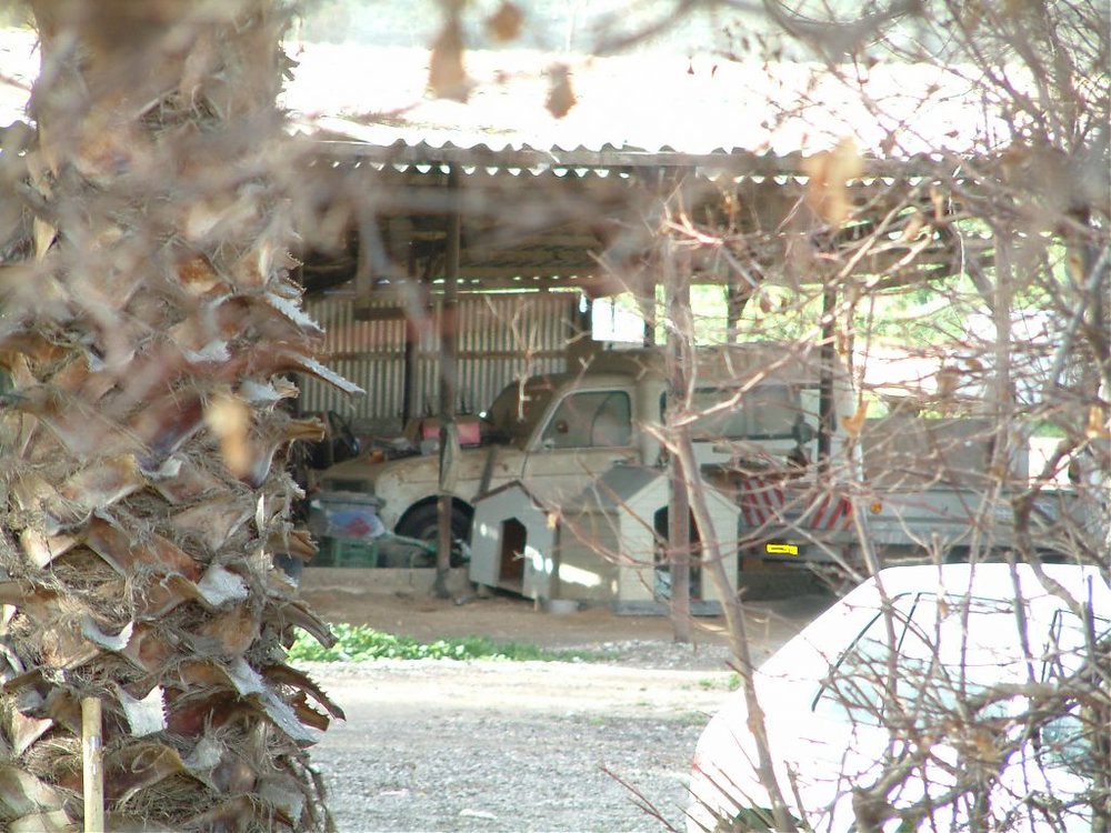 DSCF0143.jpg