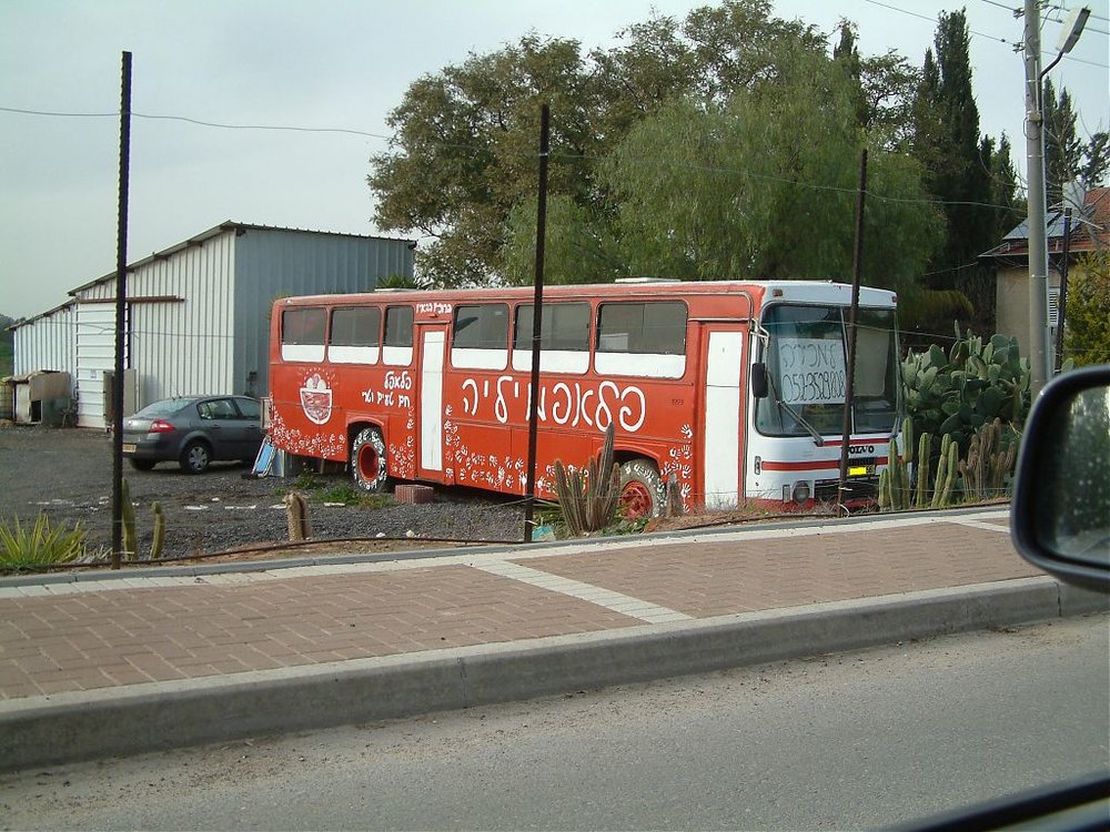 DSCF0146.jpg