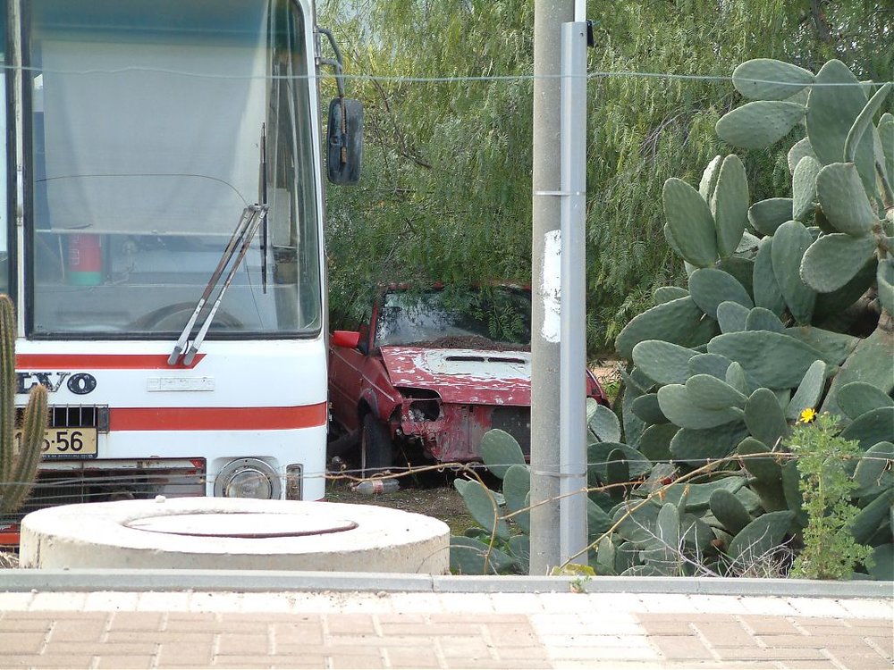 DSCF0148.jpg