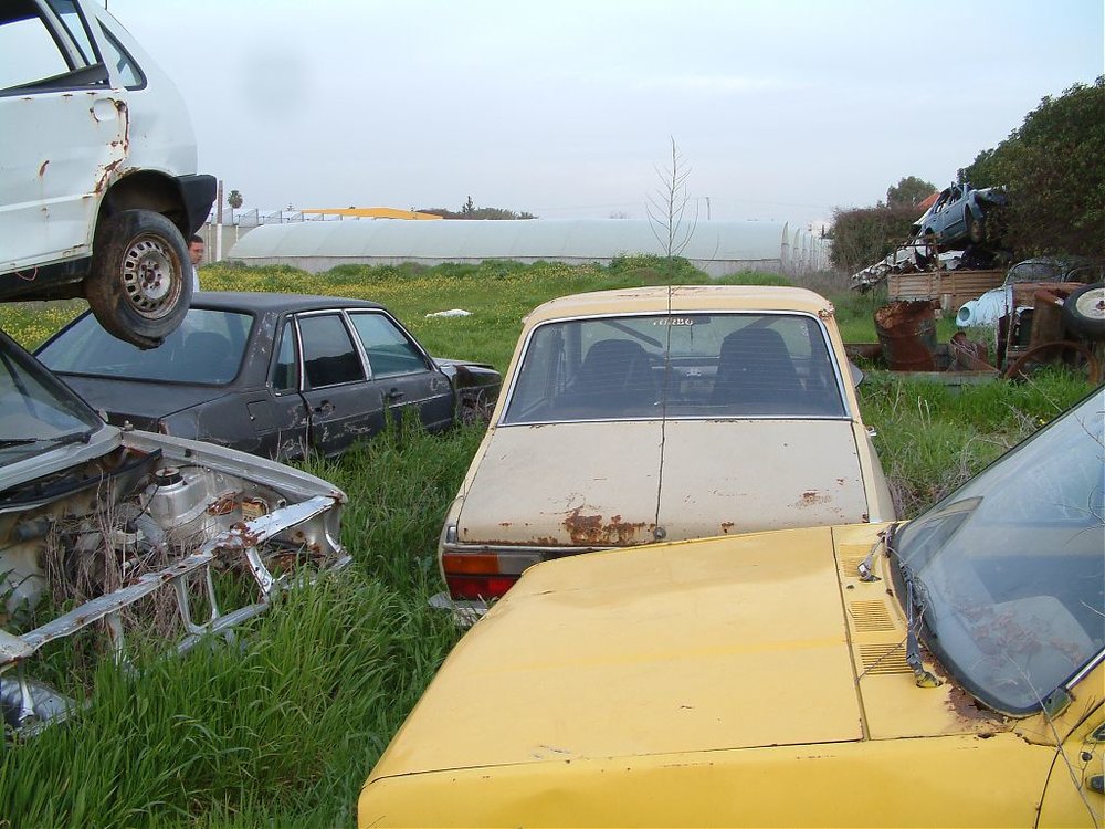 DSCF0164.jpg