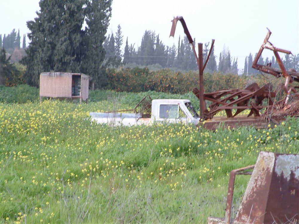 DSCF0167.jpg