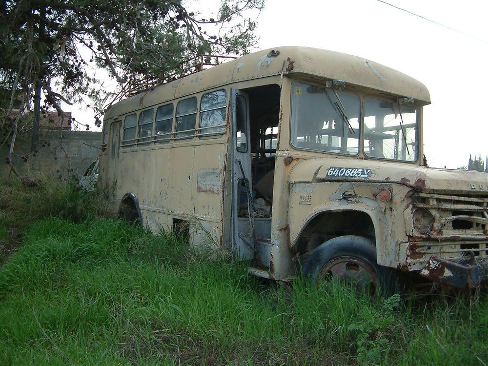 DSCF0182.jpg
