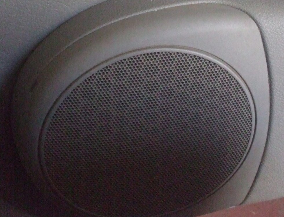 DSCF0220.jpg