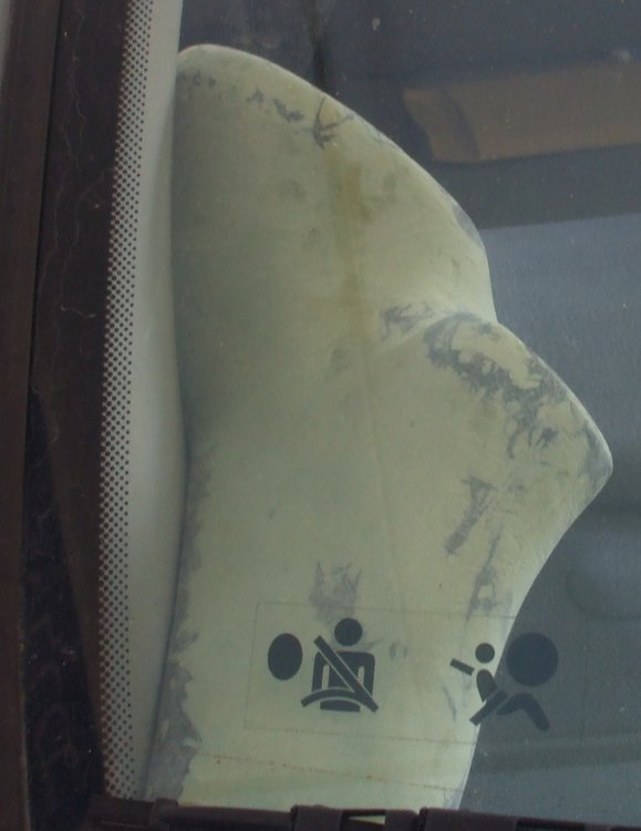 DSCF0407.jpg