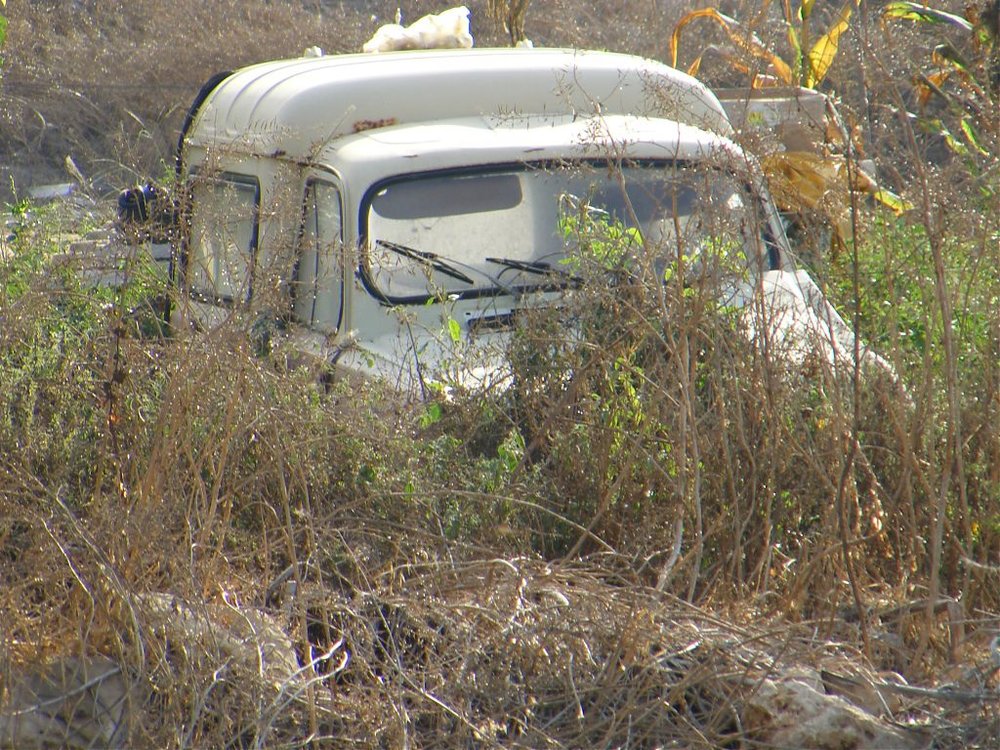 DSCF0417.jpg