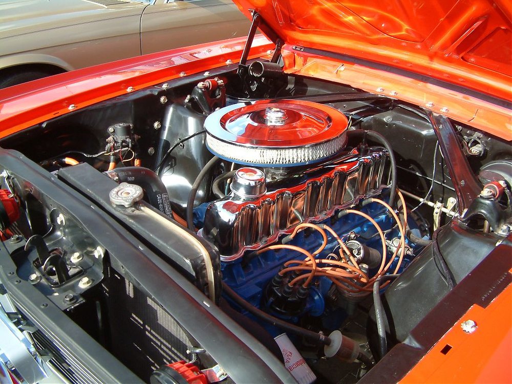 DSCF0595.jpg