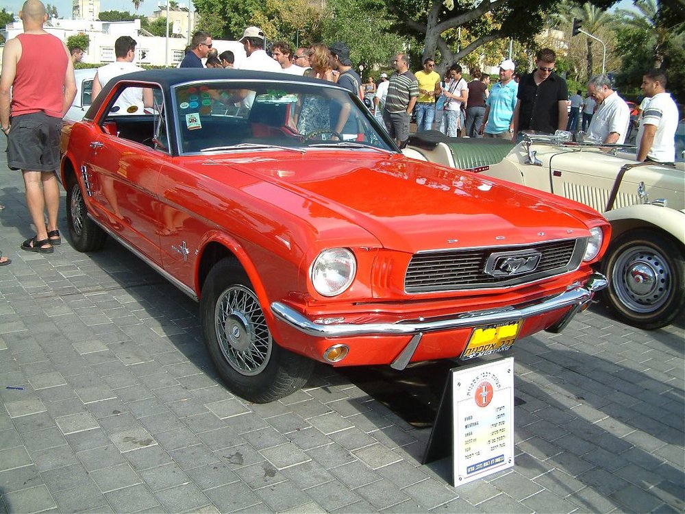 DSCF0597.jpg