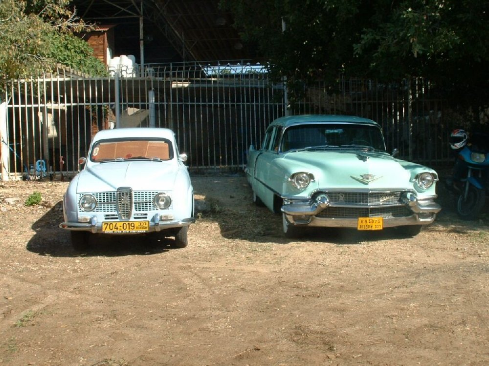 DSCF0641.JPG