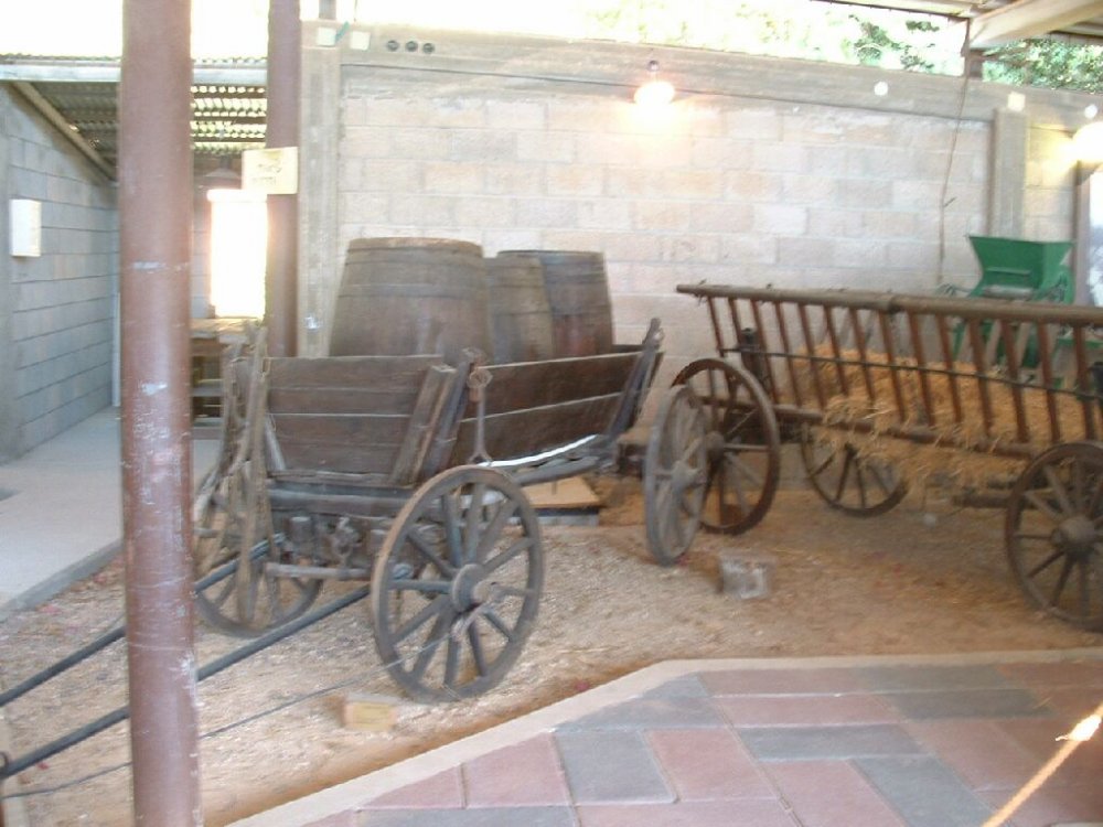 DSCF0656.JPG