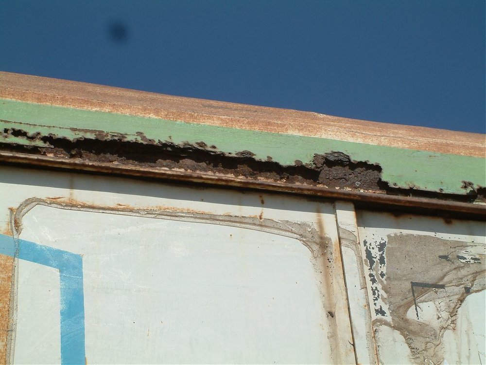 DSCF0768.jpg
