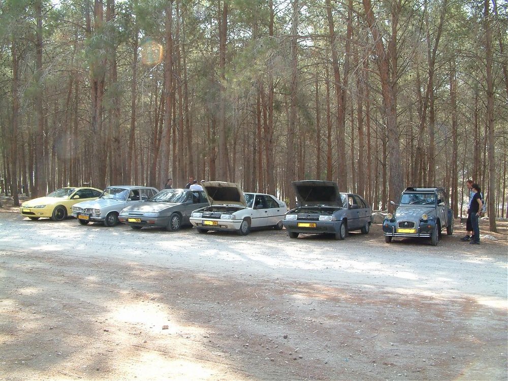 DSCF0826.jpg