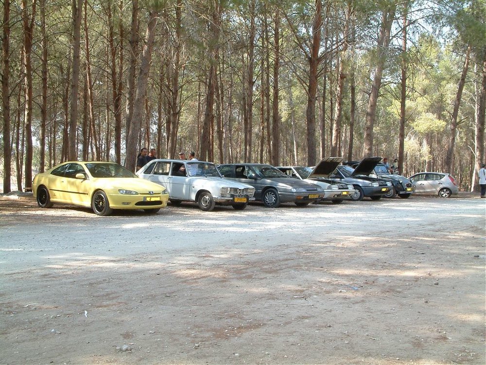 DSCF0828.jpg
