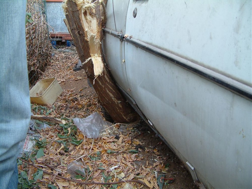DSCF0916.jpg